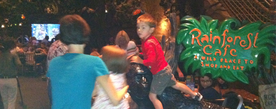 rain-forrest-cafe-las-vegas